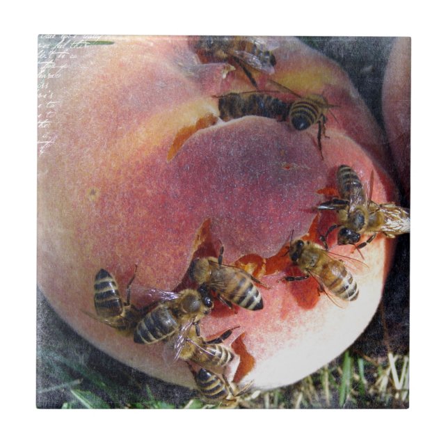 Bees on a Peach Tile (Front)