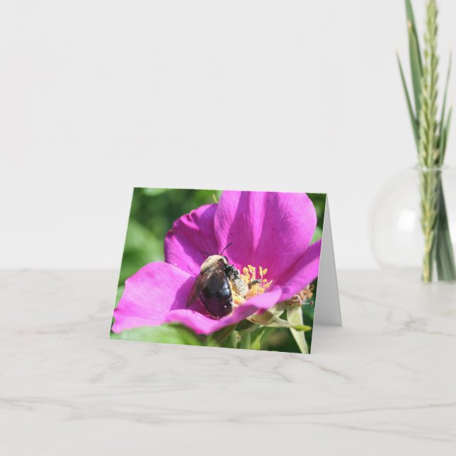 Bees On Pink Rose Nature Photography Note Card (Front)