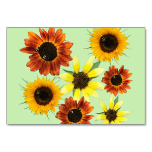Bees pollinate photo reading flashcards flashcards table number