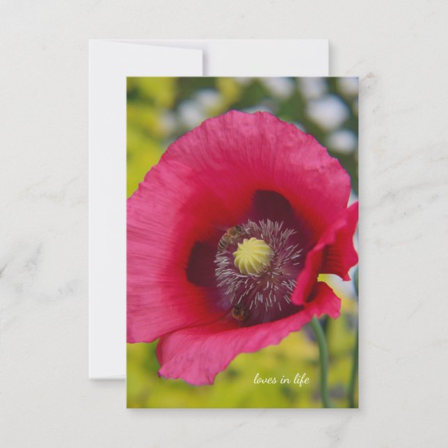 Bees & Poppy Card (Front)