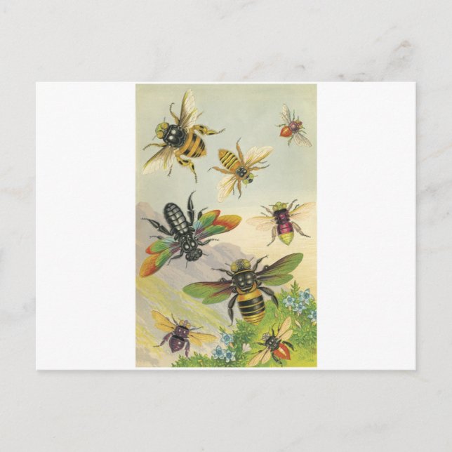 Bees Postcard (Front)