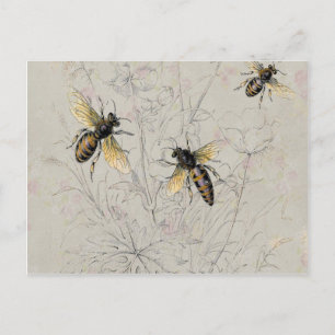 Bees Postcard