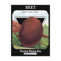 Beet Early Blood Turnip Vintage Seed Packet Root