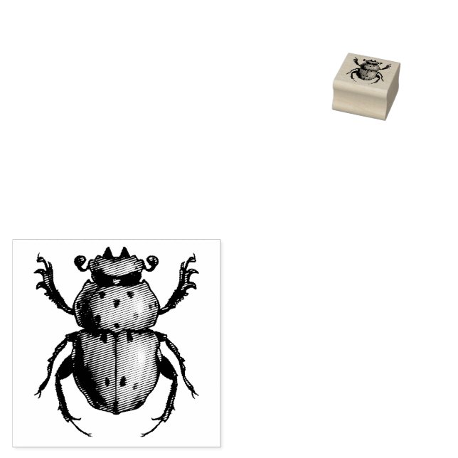 Beetle Art Entomology Insect Rubber Stamp (Stamped)