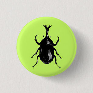 Beetle Beetles Insect Bug Vintage Wood Engraving 3 Cm Round Badge