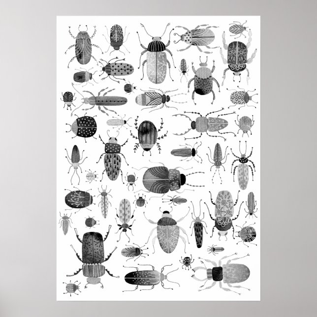 Beetle Black & White Poster (Front)