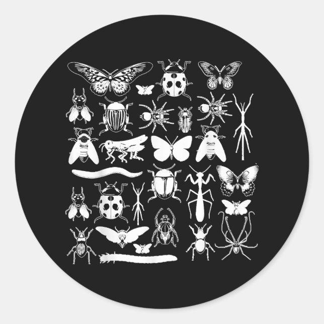 Beetle & Bug Collector - Entomology Insect Classic Round Sticker (Front)
