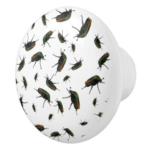 Beetle Bug Knobs