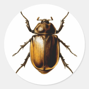 Beetle Classic Round Sticker
