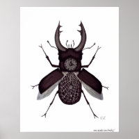 Beetle clock surreal black and white drawing