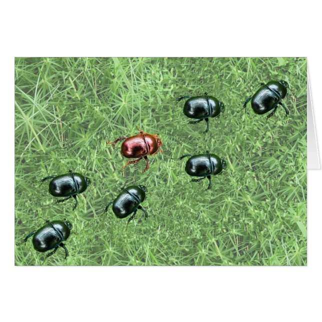 Beetle Design (Front Horizontal)