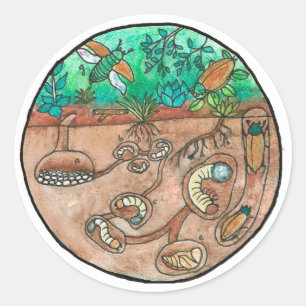 Beetle Life Cycle Sticker