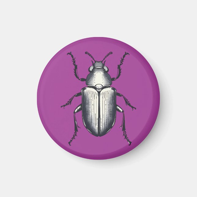 Beetle Magnet (Front)