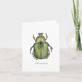 Beetle Note Cards