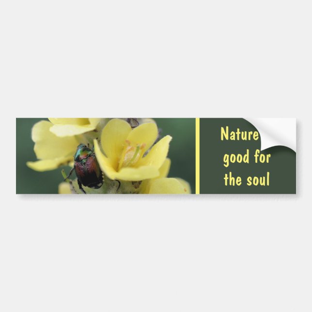 Beetle On Mullein Flower Nature Good For The Soul Bumper Sticker (Front)