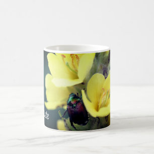 Beetle On Mullein Flower Personalised Coffee Mug
