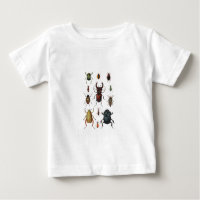 Beetle Varieties