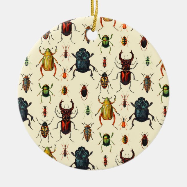 Beetle Varieties Ceramic Tree Decoration (Front)