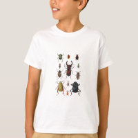 Beetle Varieties