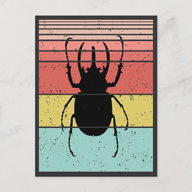BEETLE VINTAGE INSECT  POSTCARD (Front)