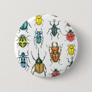 Beetles 6 Cm Round Badge