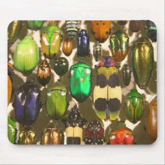 Beetles, Bugs and Insects Mouse Pad