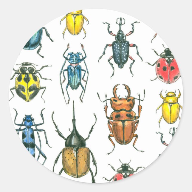 Beetles Classic Round Sticker (Front)