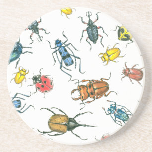Beetles Coaster