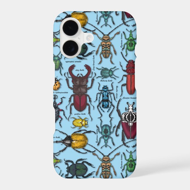 Beetles on blue (Back)