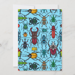 Beetles on blue