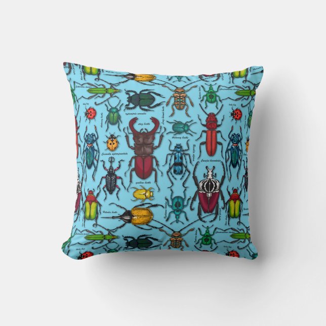 Beetles on blue cushion (Front)