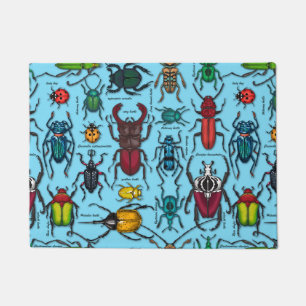 Beetles on blue doormat