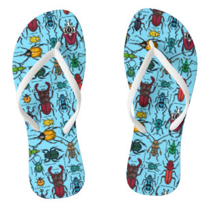 Beetles on blue jandals