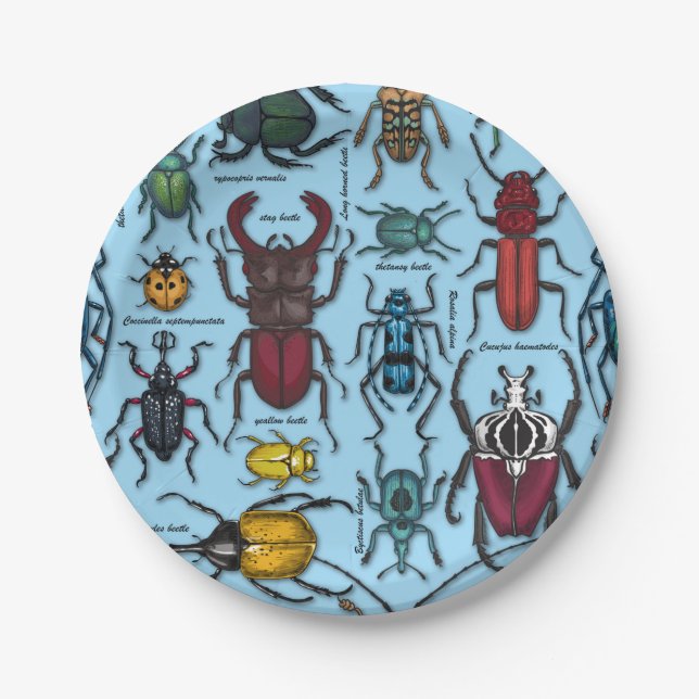 Beetles on blue paper plate (Front)