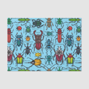 Beetles on blue tissue paper