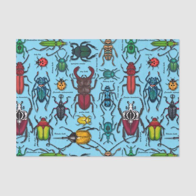 Beetles on blue tissue paper (Front)