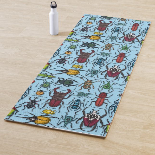 Beetles on blue yoga mat (In Situ)