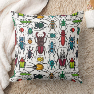 Beetles on white cushion