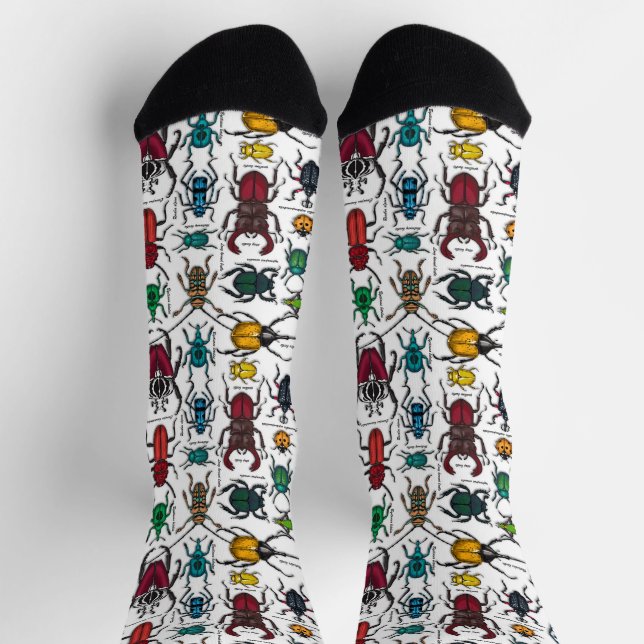 Beetles on white socks (Top)