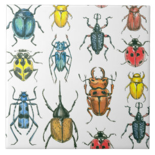 Beetles Tile
