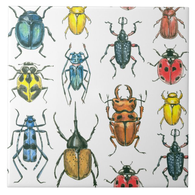 Beetles Tile (Front)