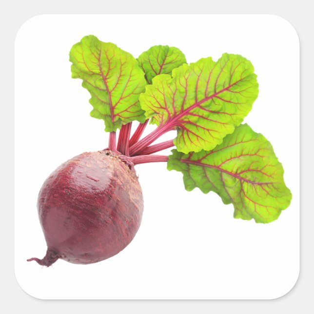 Beetroot with big leaves square sticker (Front)