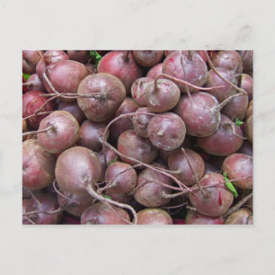 Beets Postcard
