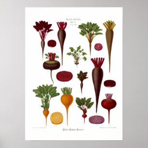 Beets Poster