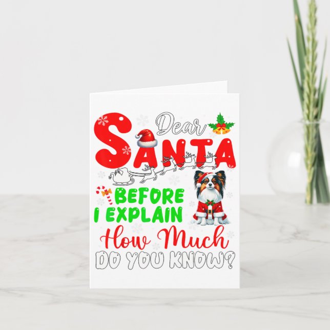 Before I Explain How Much You Know Xmas Papillon O Card (Front)
