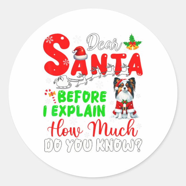 Before I Explain How Much You Know Xmas Papillon O Classic Round Sticker (Front)