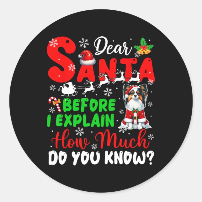 Before I Explain How Much You Know Xmas Papillon O Classic Round Sticker (Front)