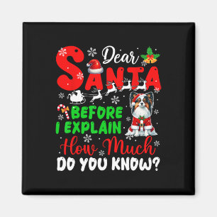 Before I Explain How Much You Know Xmas Papillon O Magnet