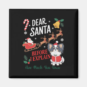 Before I Explain How Much You Know Xmas Papillon O Magnet