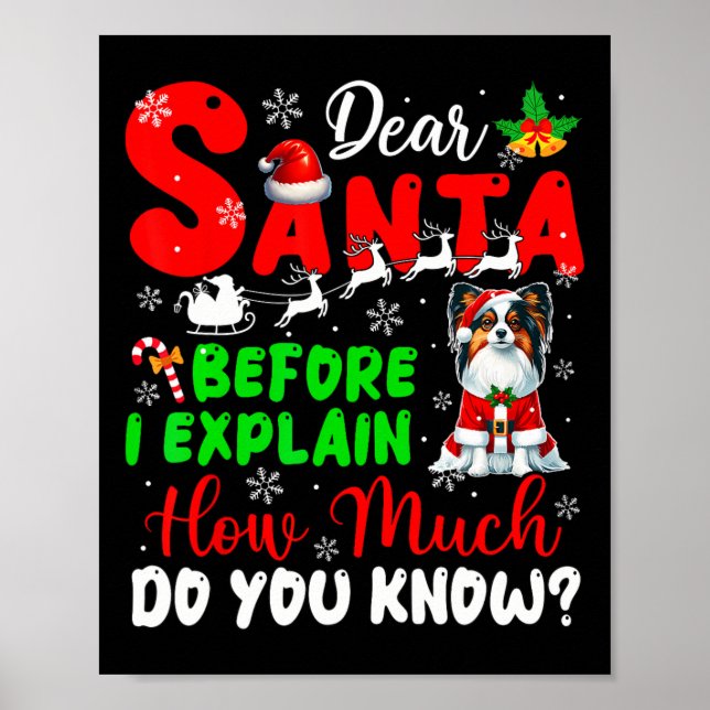 Before I Explain How Much You Know Xmas Papillon O Poster (Front)